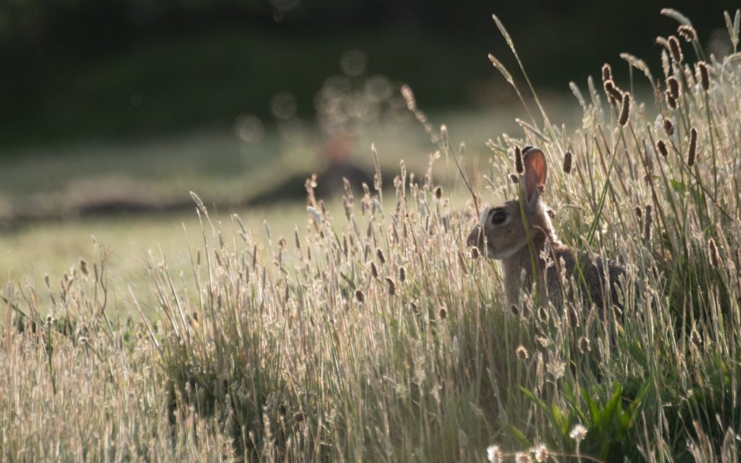 Willkommen auf unserer neuen Webseite