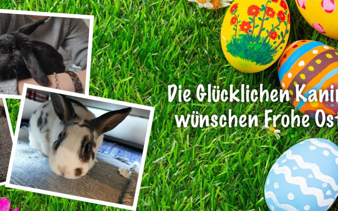 Die Glücklichen Kaninchen wünschen frohe Ostern!