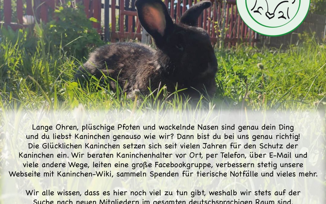 Die Glücklichen Kaninchen suchen Unterstützung!