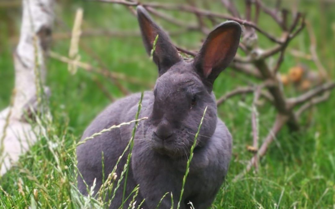 08.10.2022 – Stammtisch in Braunschweig